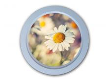 Ультратонкая светящаяся светодиодная картина D144*25mm 8W 220V (CW)